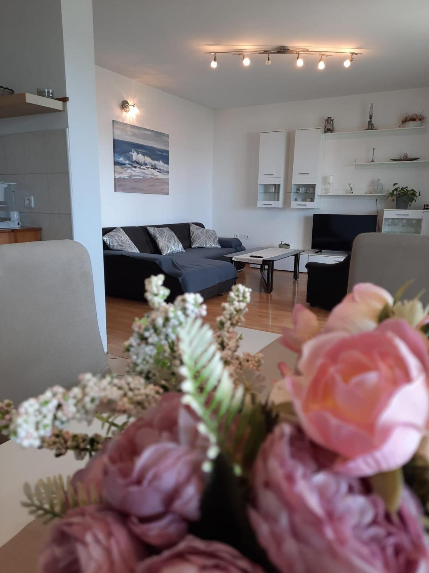 נובי ווינודולסקי Apartman Mila מראה חיצוני תמונה